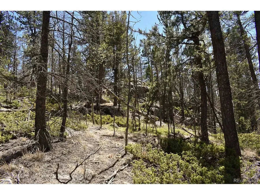 289 Timberline Dr, Guffey, CO 80820 - #3