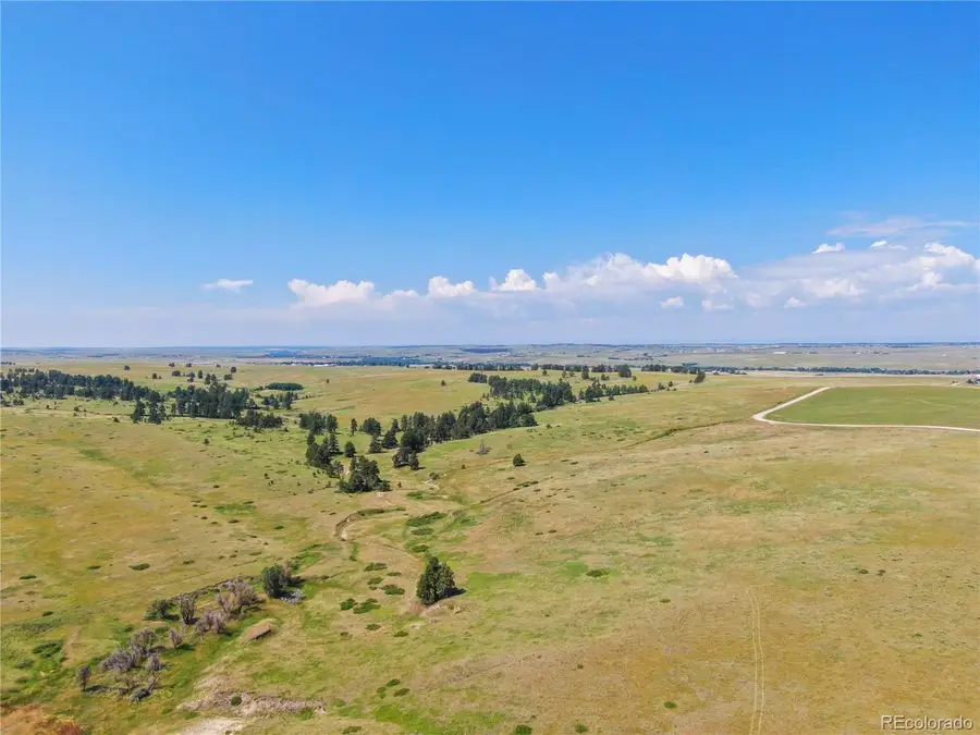 35255 Peacefulness St, Kiowa, CO 80117 - #3