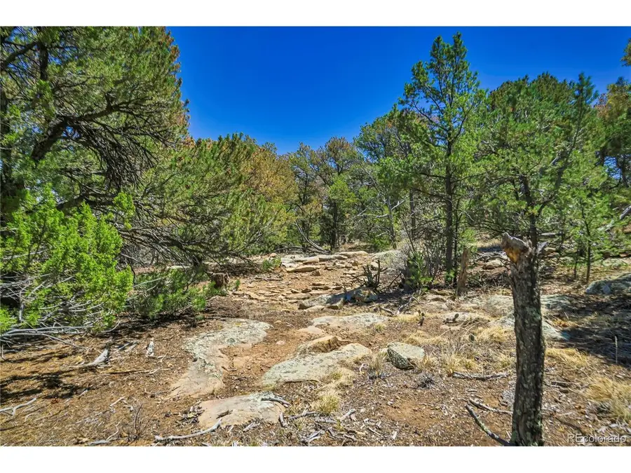 Address Withheld By Seller, Aguilar, CO 81020 - #3