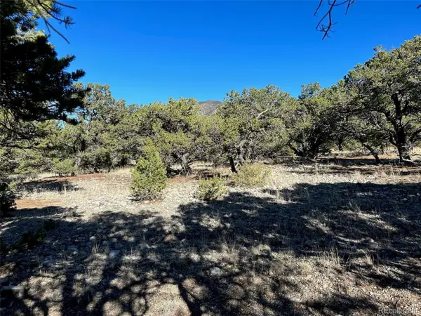 3 Mill Run Rd, Mosca, CO 81146