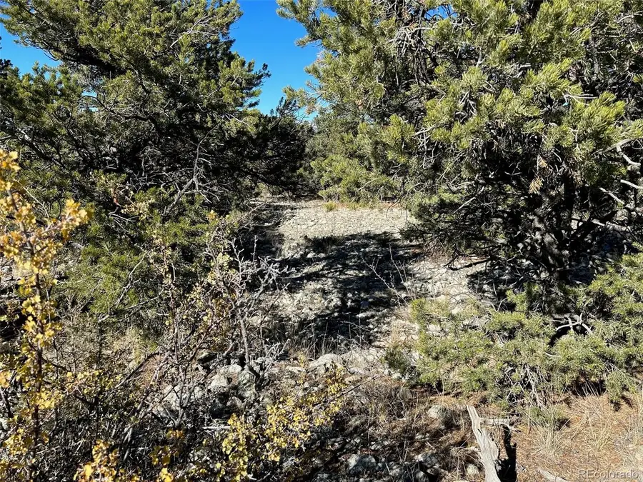3 Mill Run Rd, Mosca, CO 81146 - #3