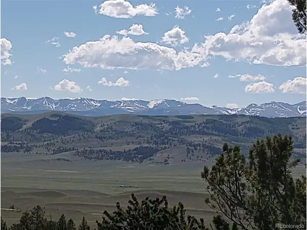 182 Starling Way, Como, CO 80432