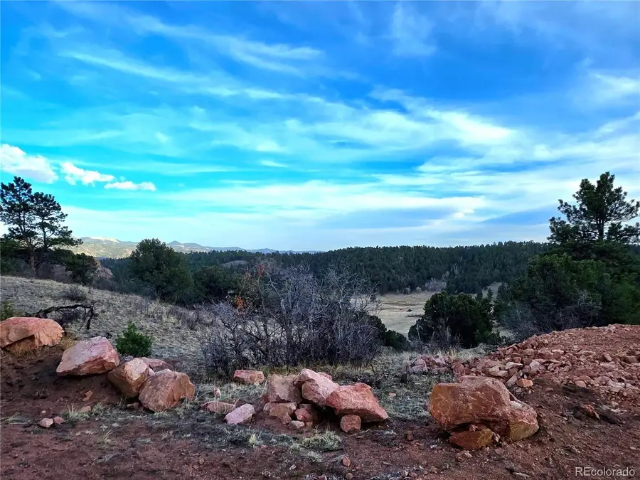 204 Pine Rd, Florissant, CO 80816 - #2