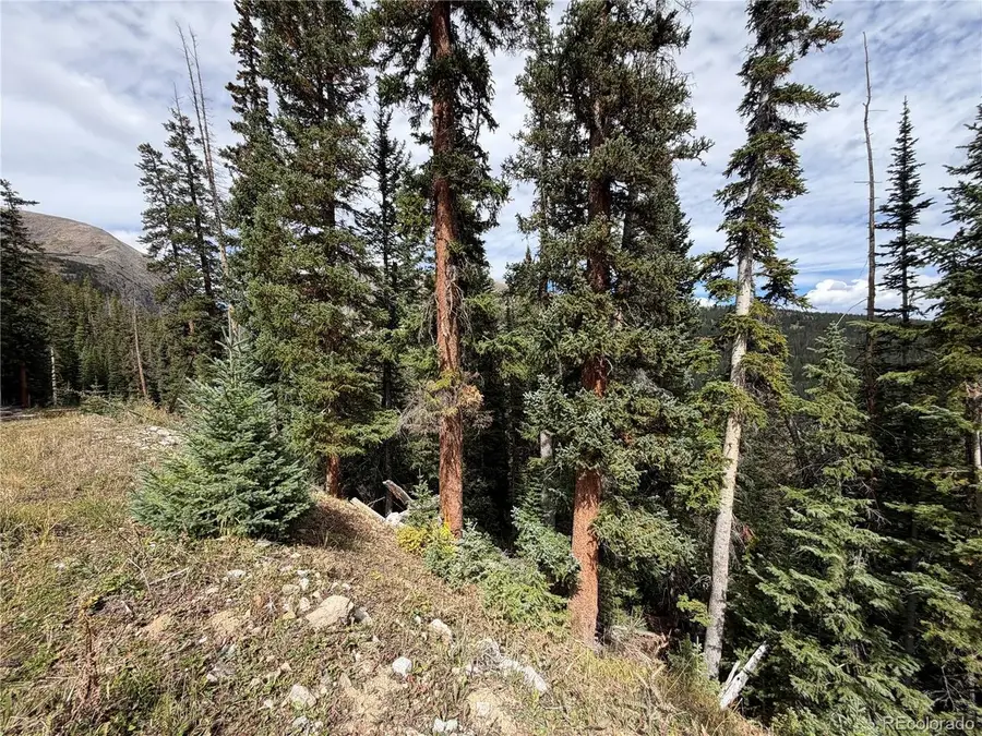 605 Cr 805, Breckenridge, CO 80424 - #2