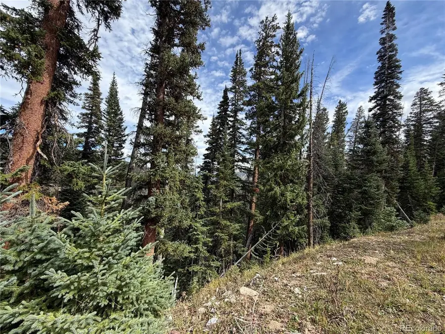 605 Cr 805, Breckenridge, CO 80424 - #3