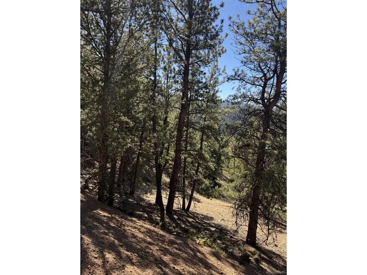1440 Pikes Peak Dr, Divide, CO 80814 - #1