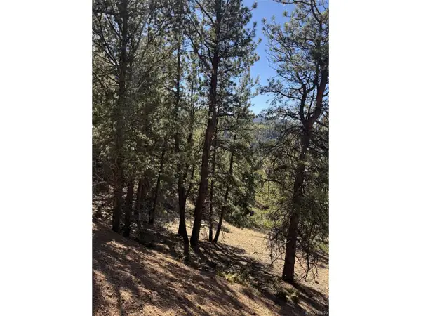 1440 Pikes Peak Dr, Divide, CO 80814
