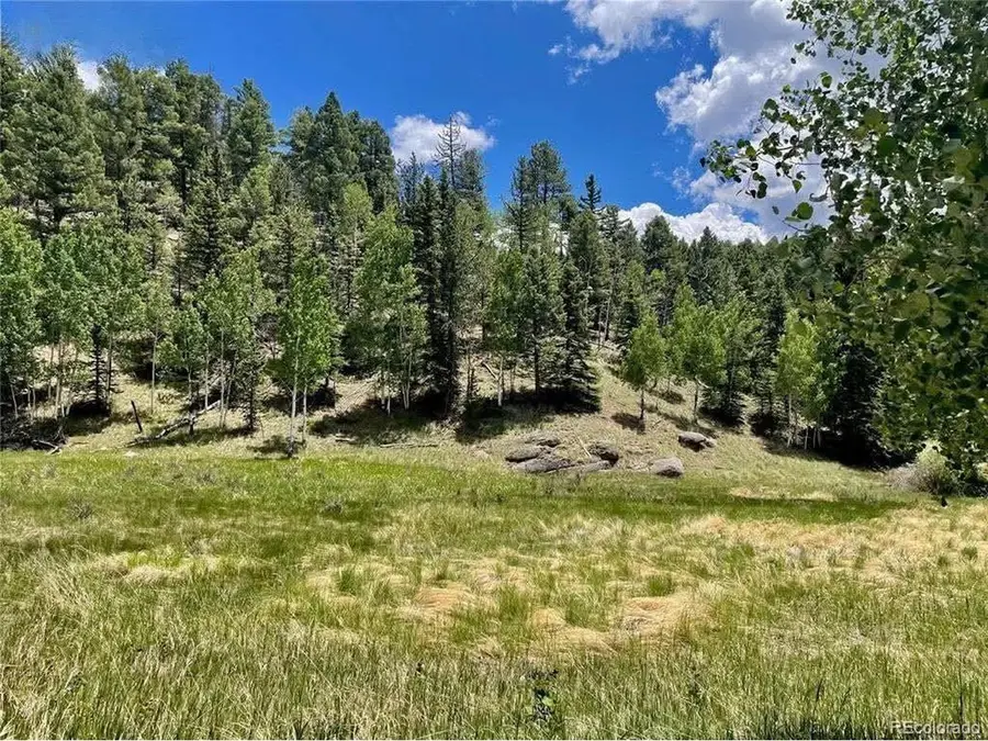 458 Arrowhead Rd, Florissant, CO 80816 - #2