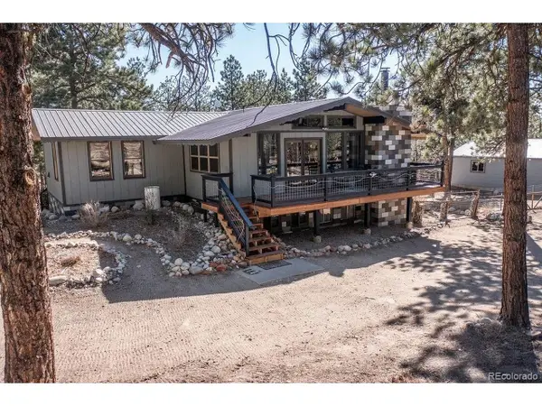 16165 Burt Gulch Rd, Buena Vista, CO 81211