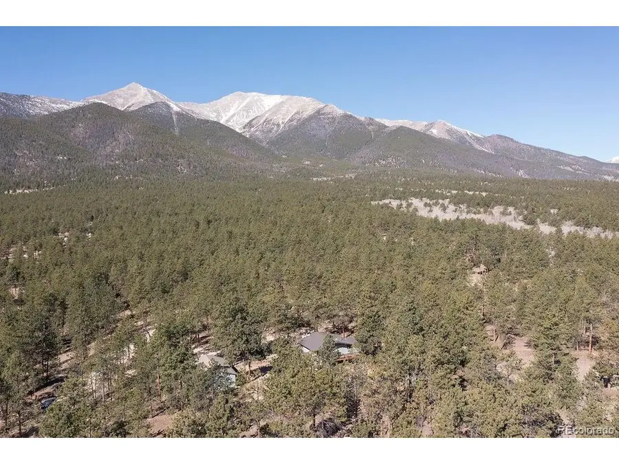 16165 Burt Gulch Rd, Buena Vista, CO 81211 - #3