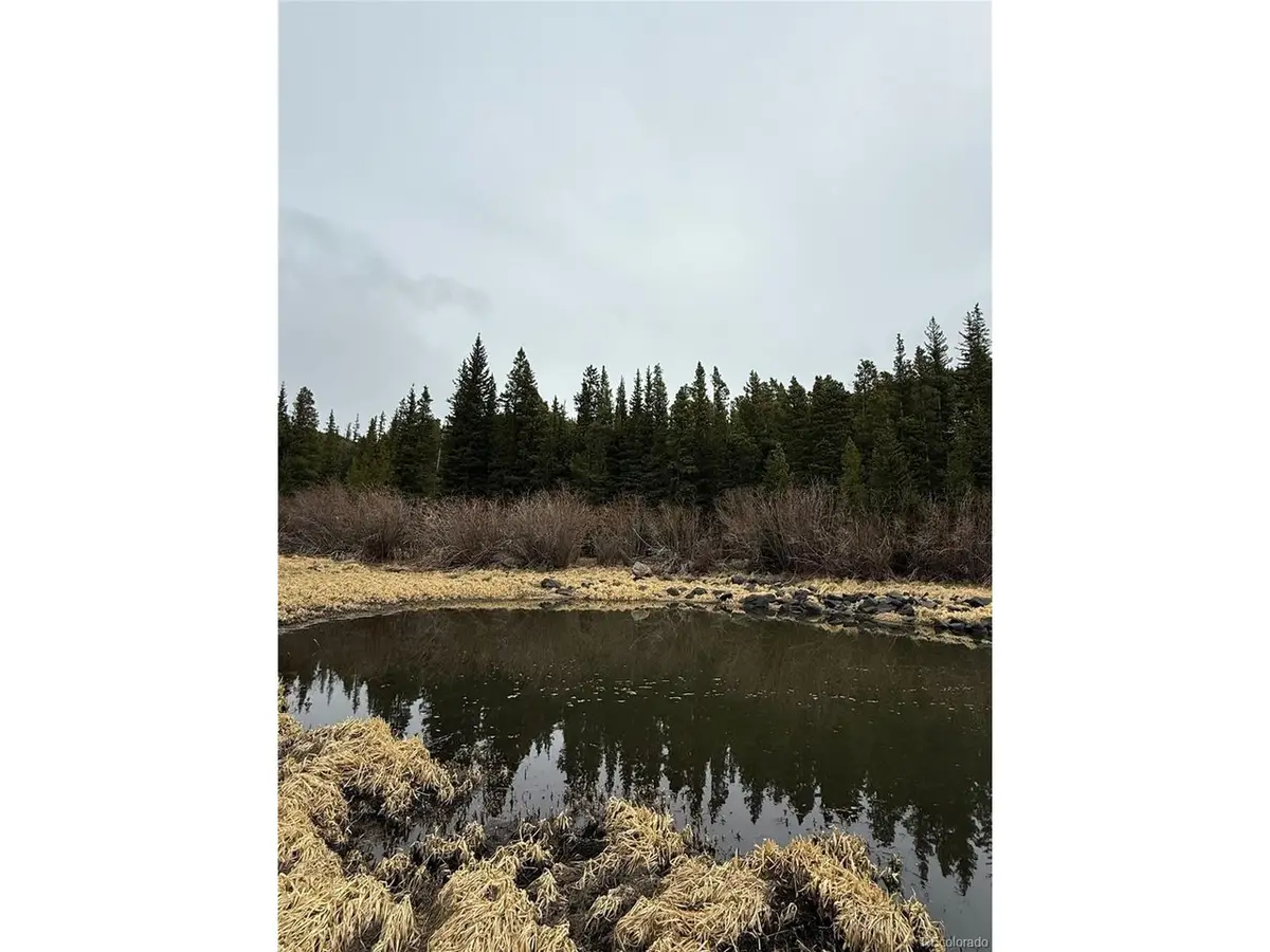 91 Lake Rd, Idaho Springs, CO 80452 - #1