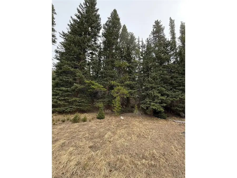 91 Lake Rd, Idaho Springs, CO 80452 - #2