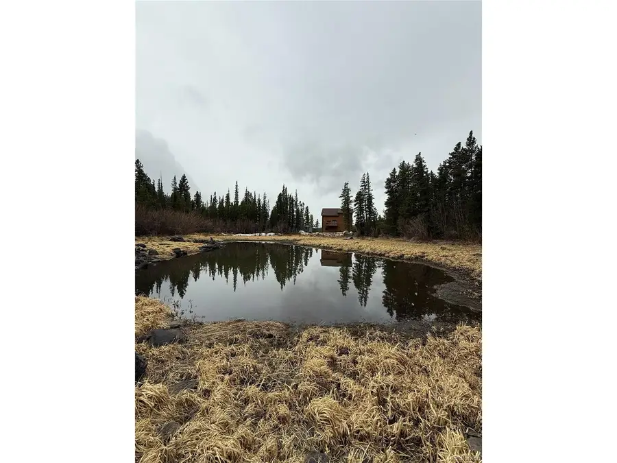 91 Lake Rd, Idaho Springs, CO 80452 - #3