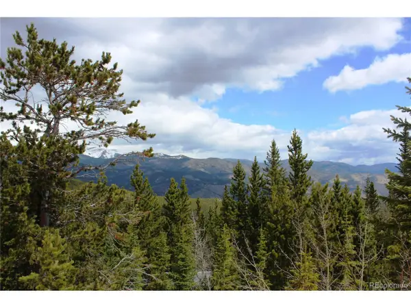 0 Lamertine Rd, Idaho Springs, CO 80452