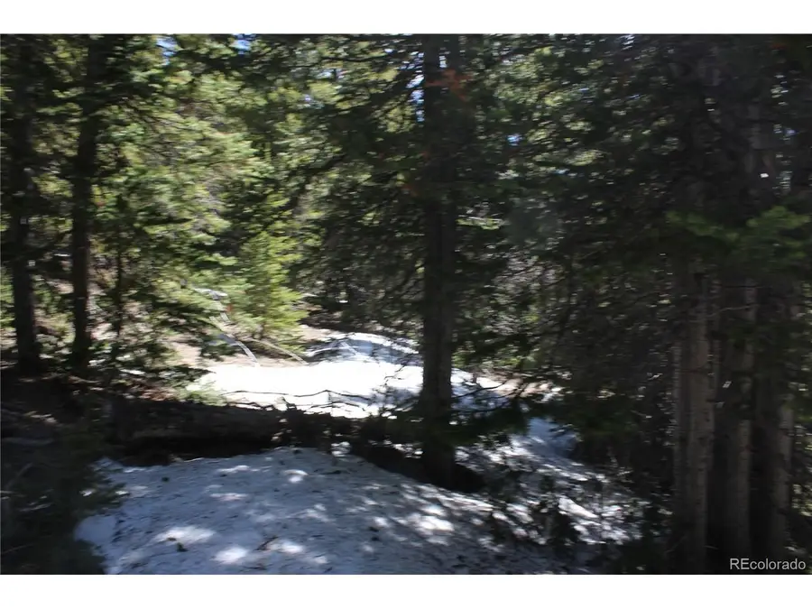 0 Miners Mesa Rd, Black Hawk, CO 80422 - #3