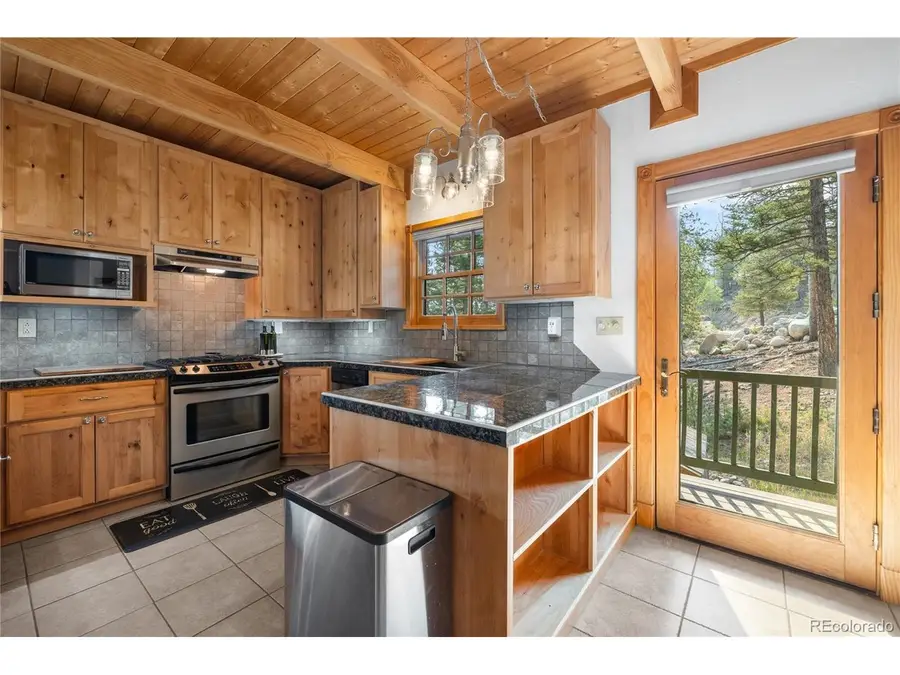 389 Mount Elbert Dr, Twin Lakes, CO 81251 - #3