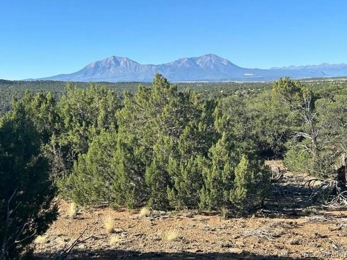 12 City Ranch Property, Walsenburg, CO 81089 - #1