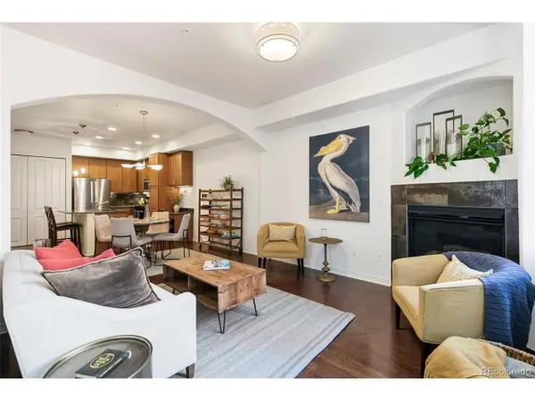 1100 N Grant St #306, Denver, CO 80203