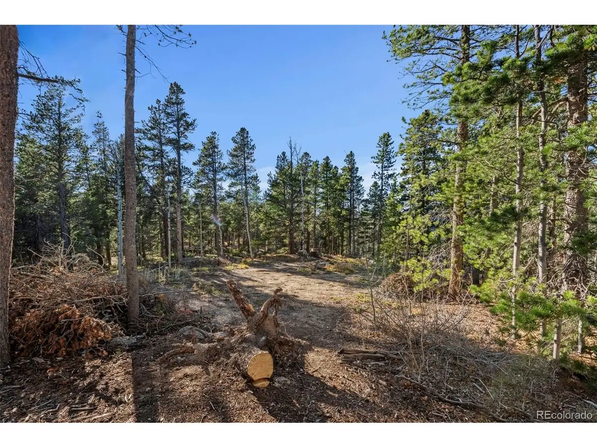0 Severance Lodge Rd, Black Hawk, CO 80422 - #1