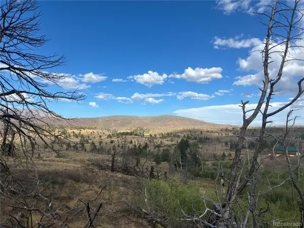 790 Duckworth Dr, Fort Garland, CO 81133