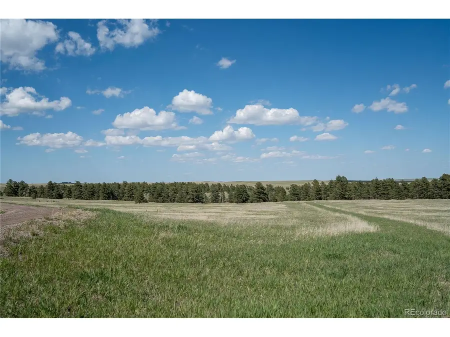 3 Paradise Cir, Elizabeth, CO 80107 - #2