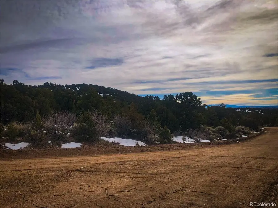 0 Preast Rd, Fort Garland, CO 81133 - #2