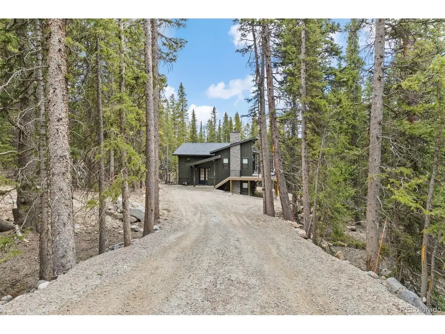 180 Pine Cone Way, Fairplay, CO 80440 - #3