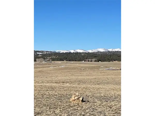 262 Grand Teton Dr, Hartsel, CO 80449