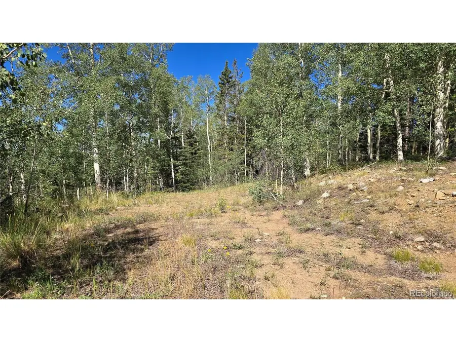 6174 Forbes Rd, San Luis, CO 81152 - #3