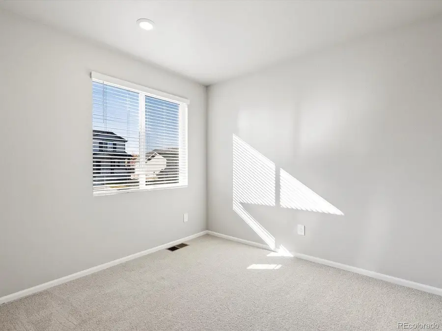 1625 Yampa River Dr, Windsor, CO 80550 - Image #3