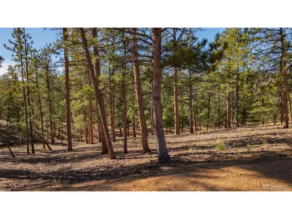 113 Schmittel, Sedalia, CO 80135