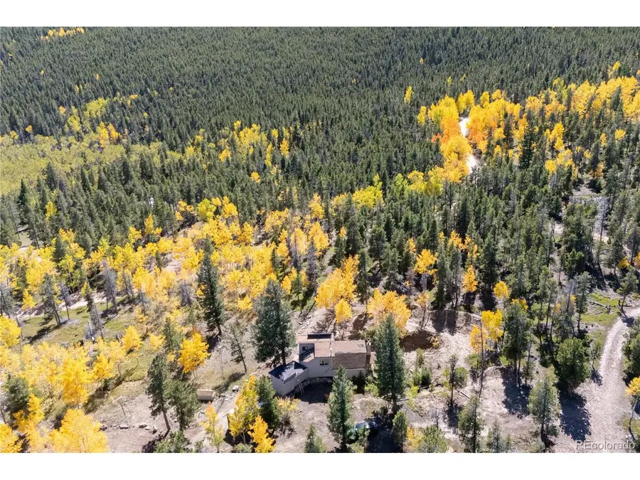 719 Miners Candle Rd, Idaho Springs, CO 80452 - #2