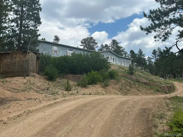 374 Hickory Creek Rd, Divide, CO 80814