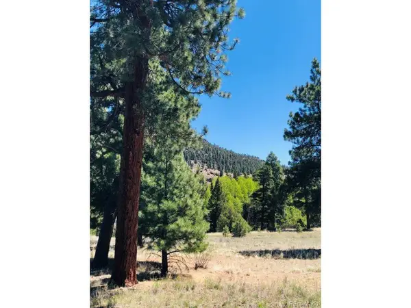 133 W Canyon View Dr, Antonito, CO 81120