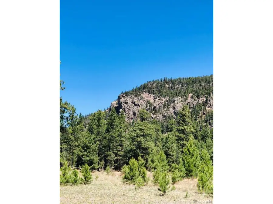 133 W Canyon View Dr, Antonito, CO 81120 - #2