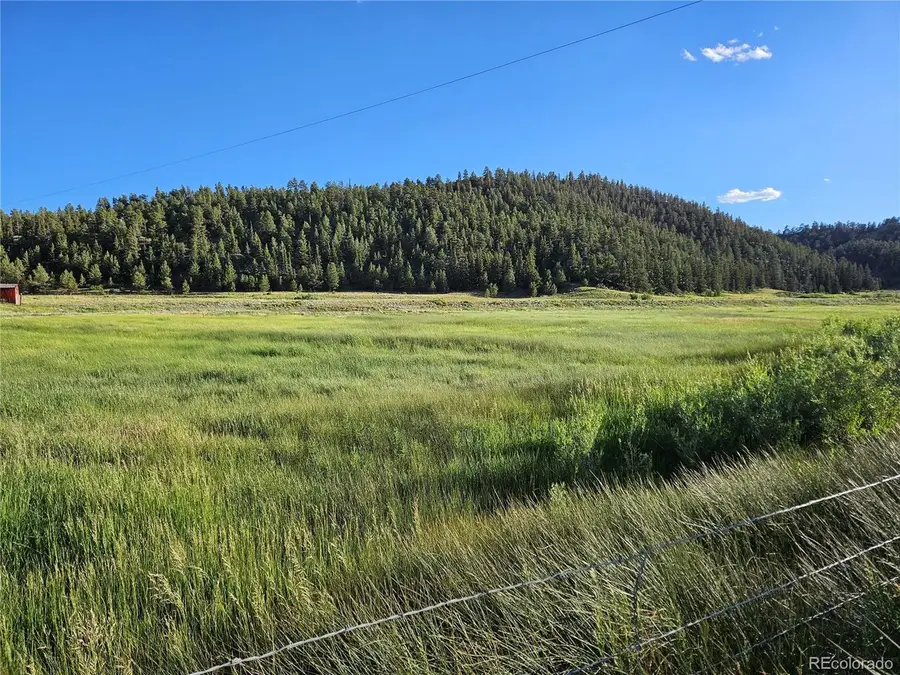 4519 Us-24, Hartsel, CO 80449 - Image #3