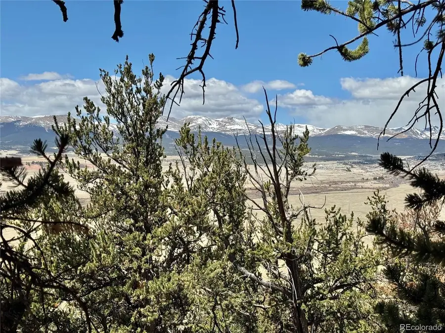 5013 Middle Fork Vis, Fairplay, CO 80440 - #3