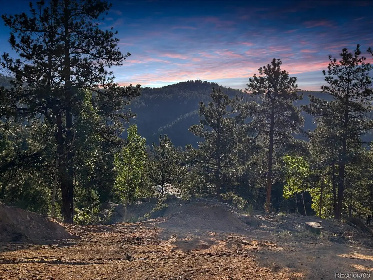 4501 County Road 72, Bailey, CO 80421 - #1