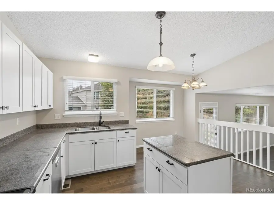 10606 Hyacinth Ct, Highlands Ranch, CO 80129 - #3