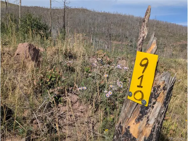910 Ueda Pl, Fort Garland, CO 81133