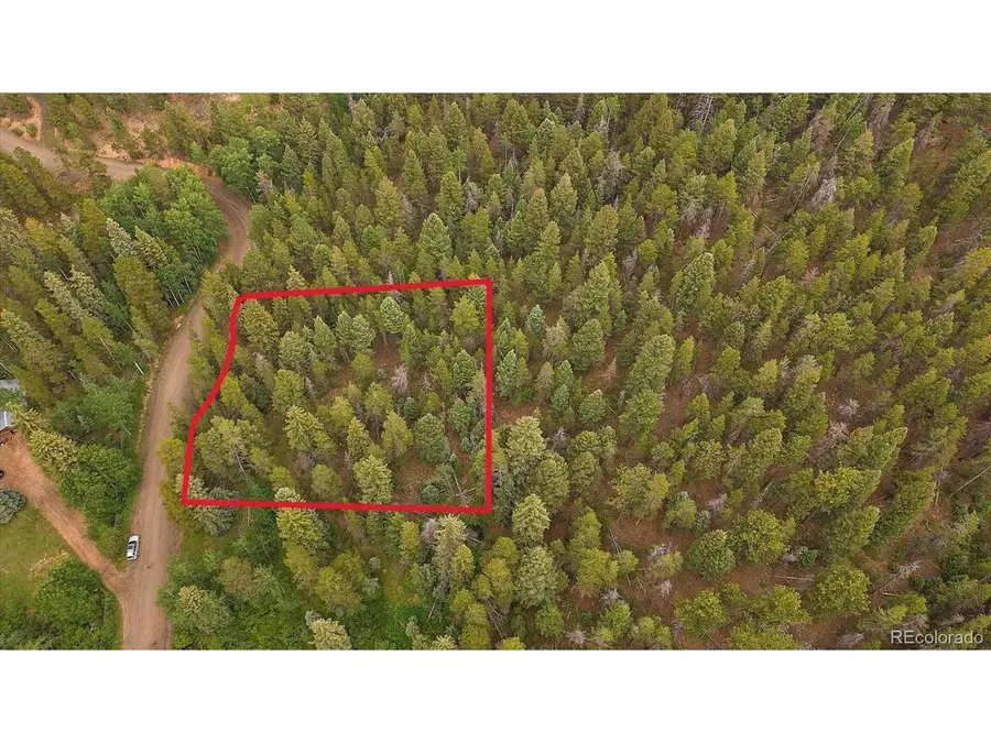 27578 Timber Trl, Conifer, CO 80433 - #2
