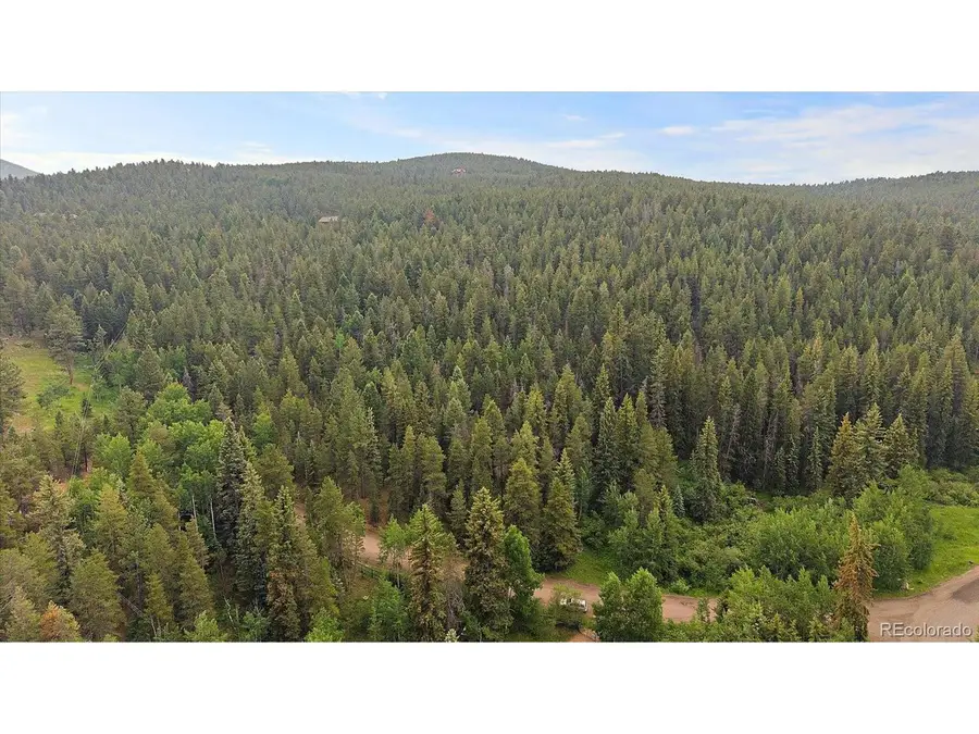 27578 Timber Trl, Conifer, CO 80433 - #3