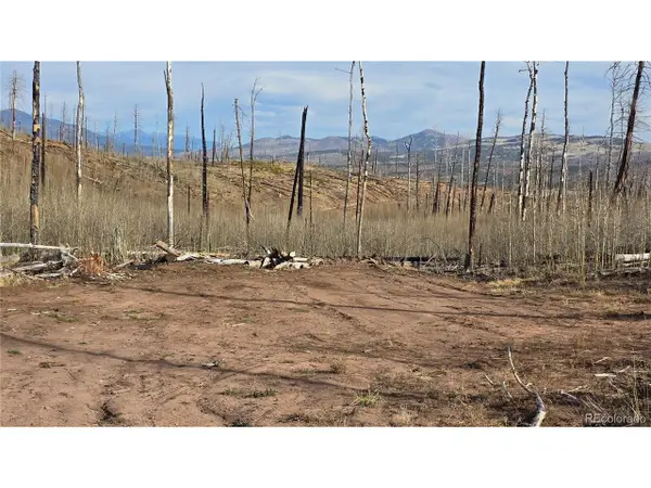 880 Slaoui Pl, Fort Garland, CO 81133