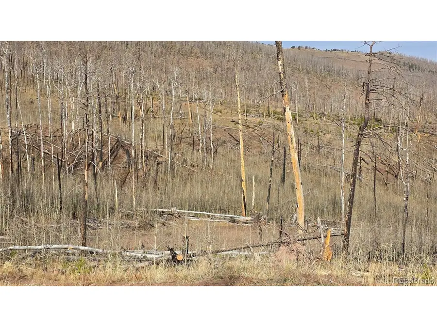 880 Slaoui Pl, Fort Garland, CO 81133 - #3