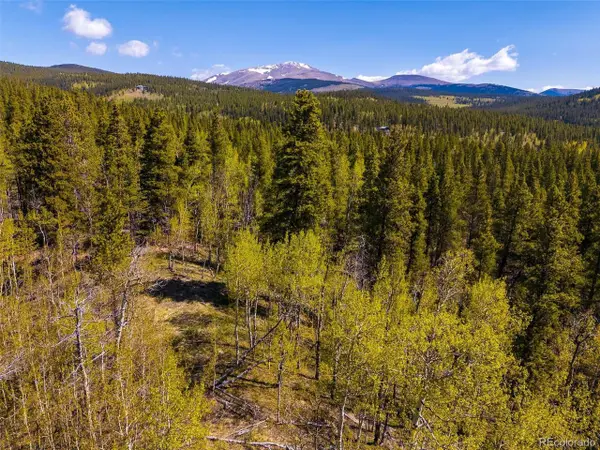 89 Ski Doo Rd, Fairplay, CO 80440