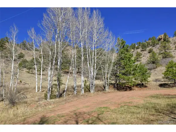 221 Floresta, Florissant, CO 80816
