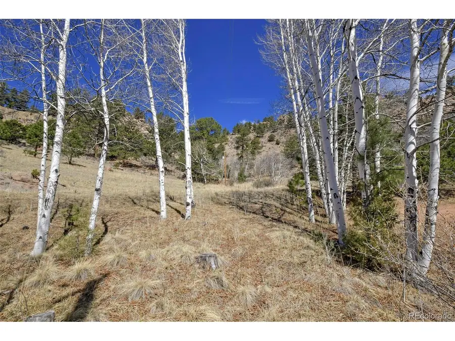 221 Floresta, Florissant, CO 80816 - #2