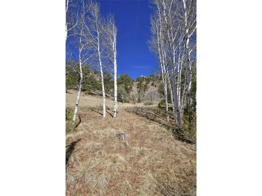 221 Floresta, Florissant, CO 80816 - #3