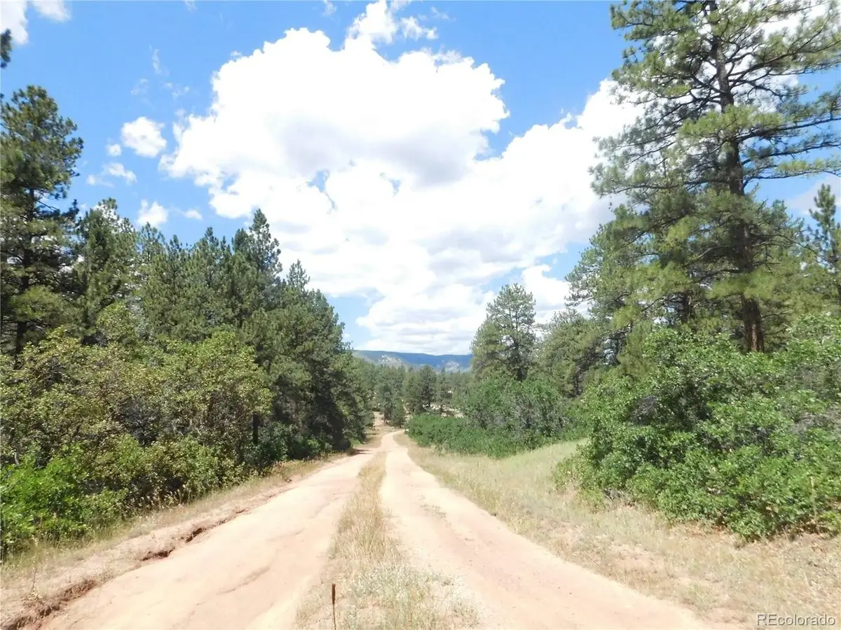 4977 Mohawk Dr, Larkspur, CO 80118 - #1
