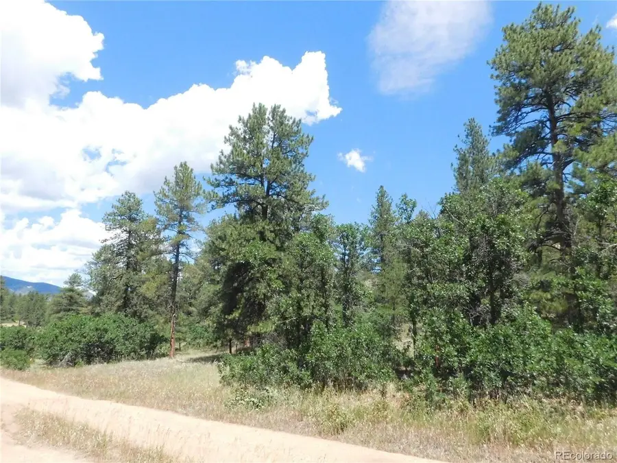 4977 Mohawk Dr, Larkspur, CO 80118 - #3